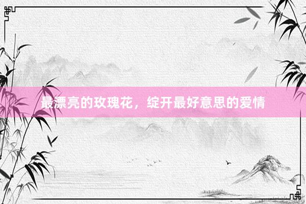 最漂亮的玫瑰花，绽开最好意思的爱情