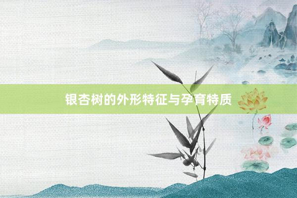银杏树的外形特征与孕育特质