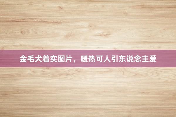 金毛犬着实图片，暖热可人引东说念主爱