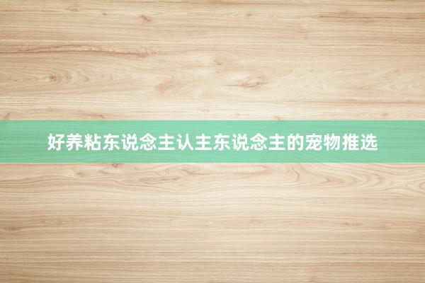 好养粘东说念主认主东说念主的宠物推选