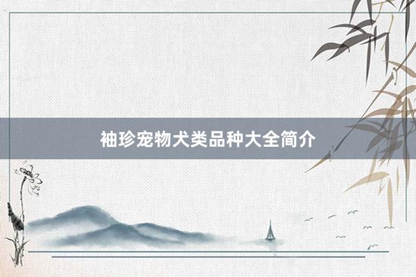 袖珍宠物犬类品种大全简介