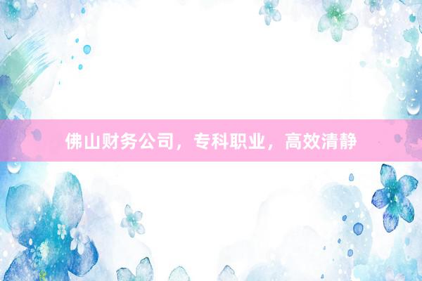 佛山财务公司，专科职业，高效清静