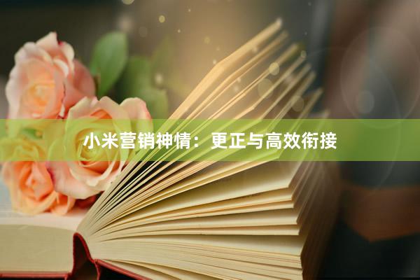 小米营销神情：更正与高效衔接