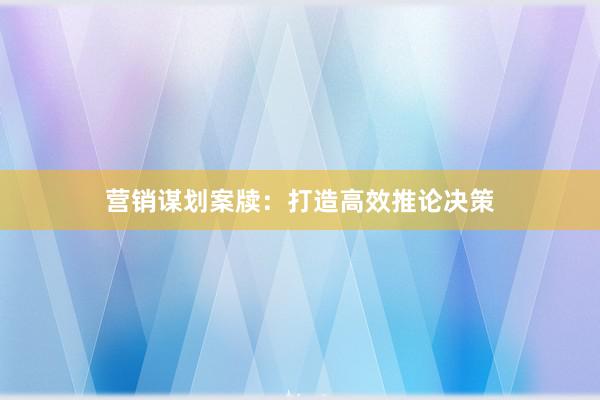 营销谋划案牍：打造高效推论决策